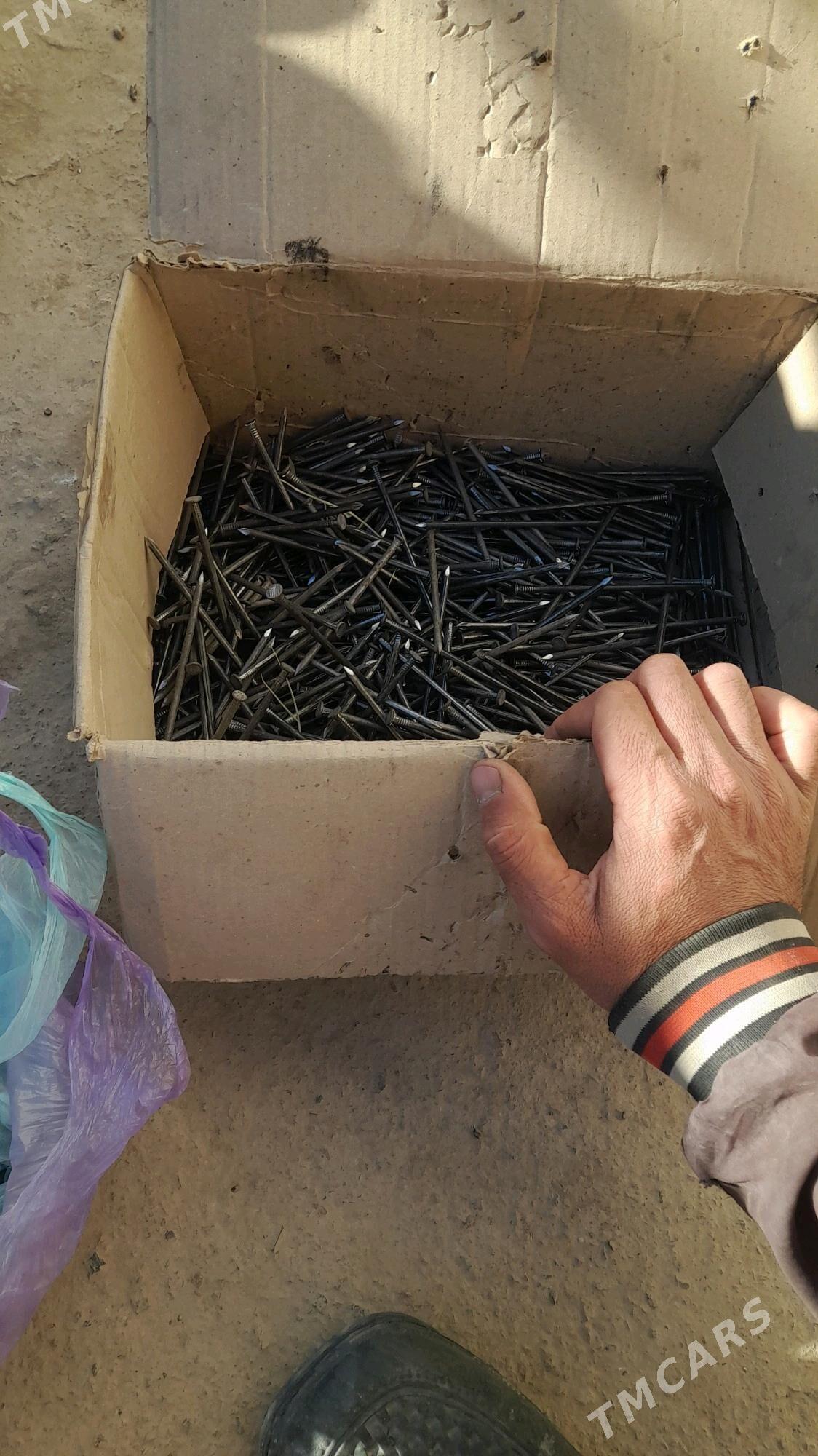 strapyla cuy - Gubadag - img 3