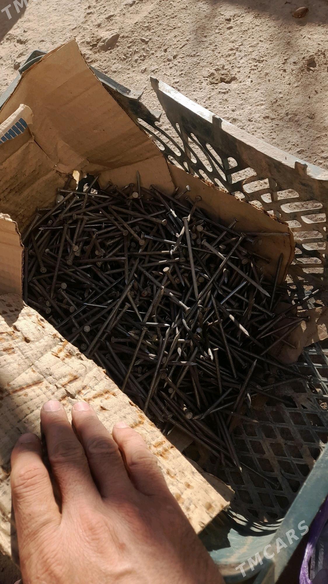 strapyla cuy - Gubadag - img 5