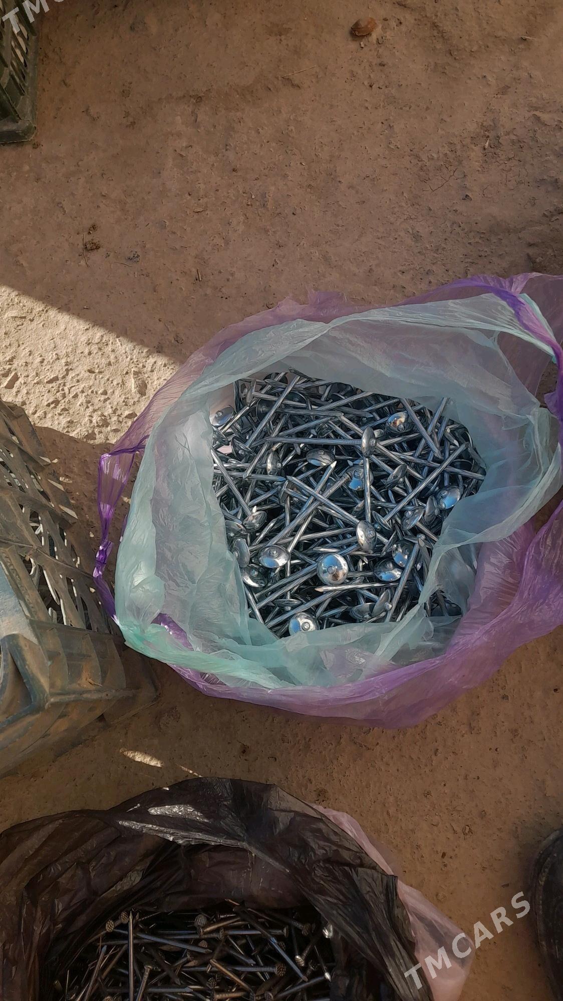 strapyla cuy - Gubadag - img 6