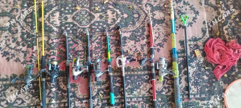 uduckalar - Türkmenabat - img 2