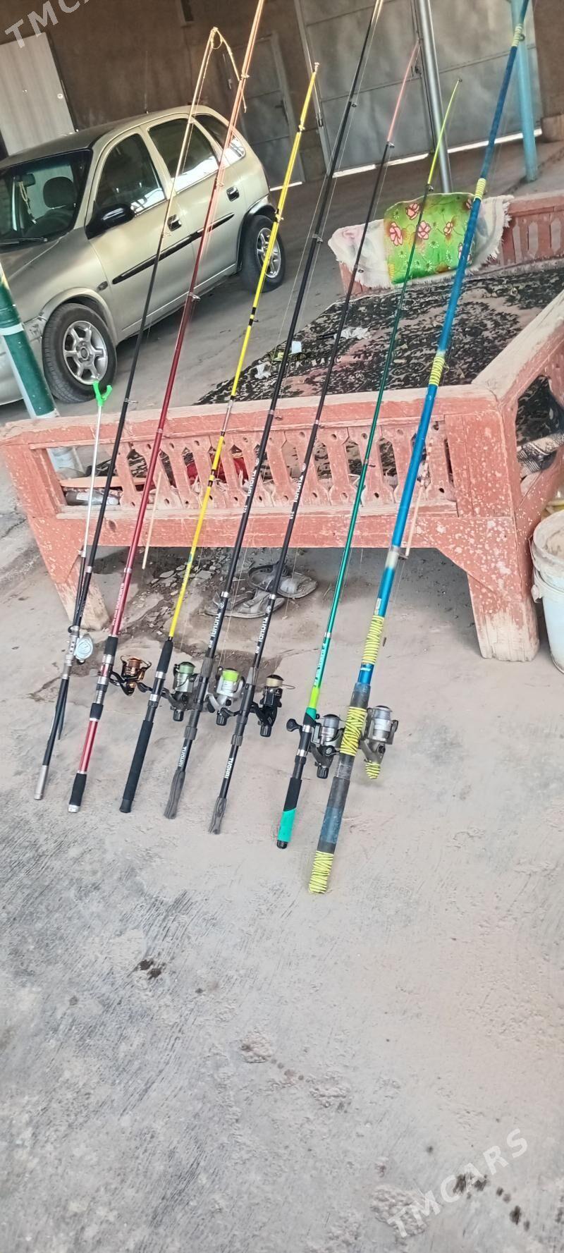 uduckalar - Türkmenabat - img 4