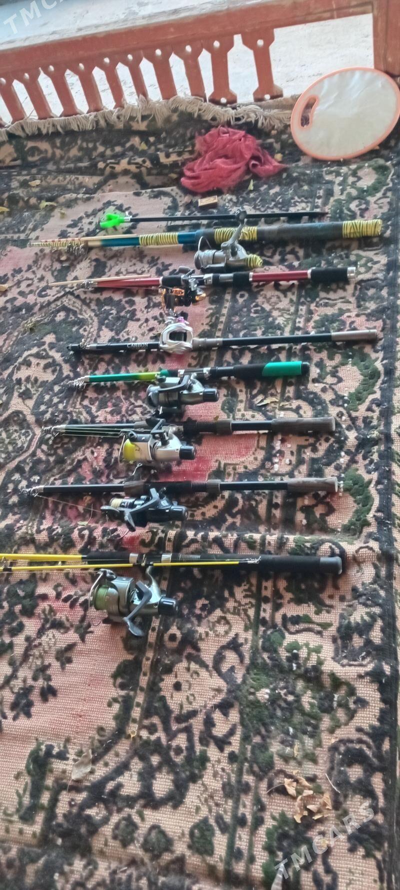 uduckalar - Туркменабат - img 1