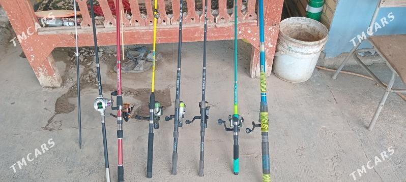 uduckalar - Türkmenabat - img 3