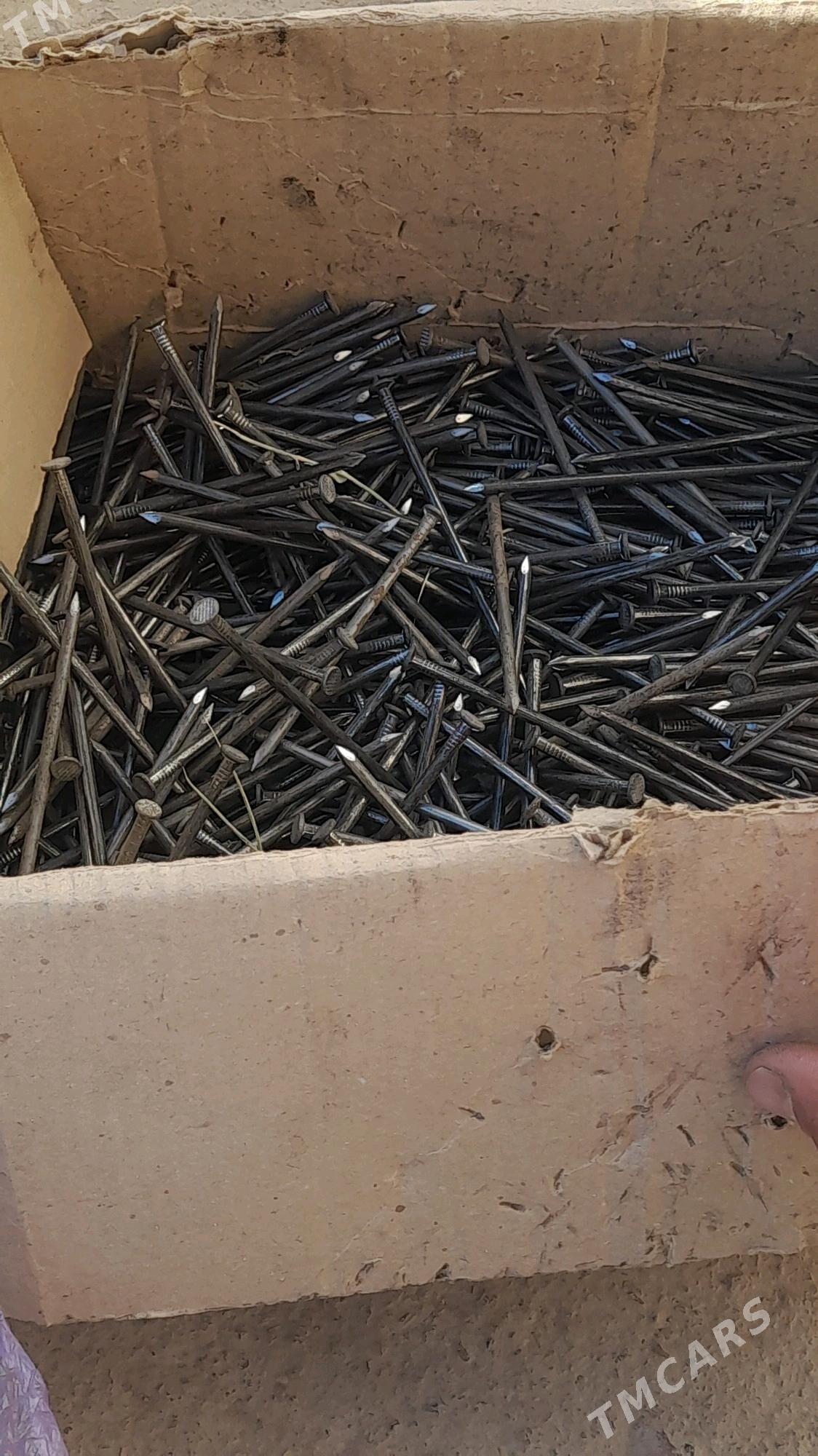 strapyla cuy - Gubadag - img 7