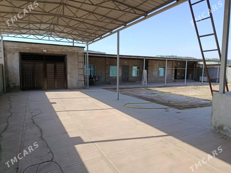 gülüstan howly jay - Дашогуз - img 4