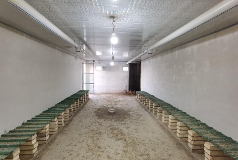 Satlyk jaý Kakada - Кака - img 4