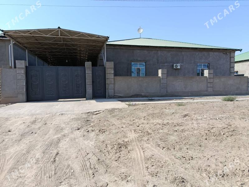 gülüstan howly jay - Дашогуз - img 1