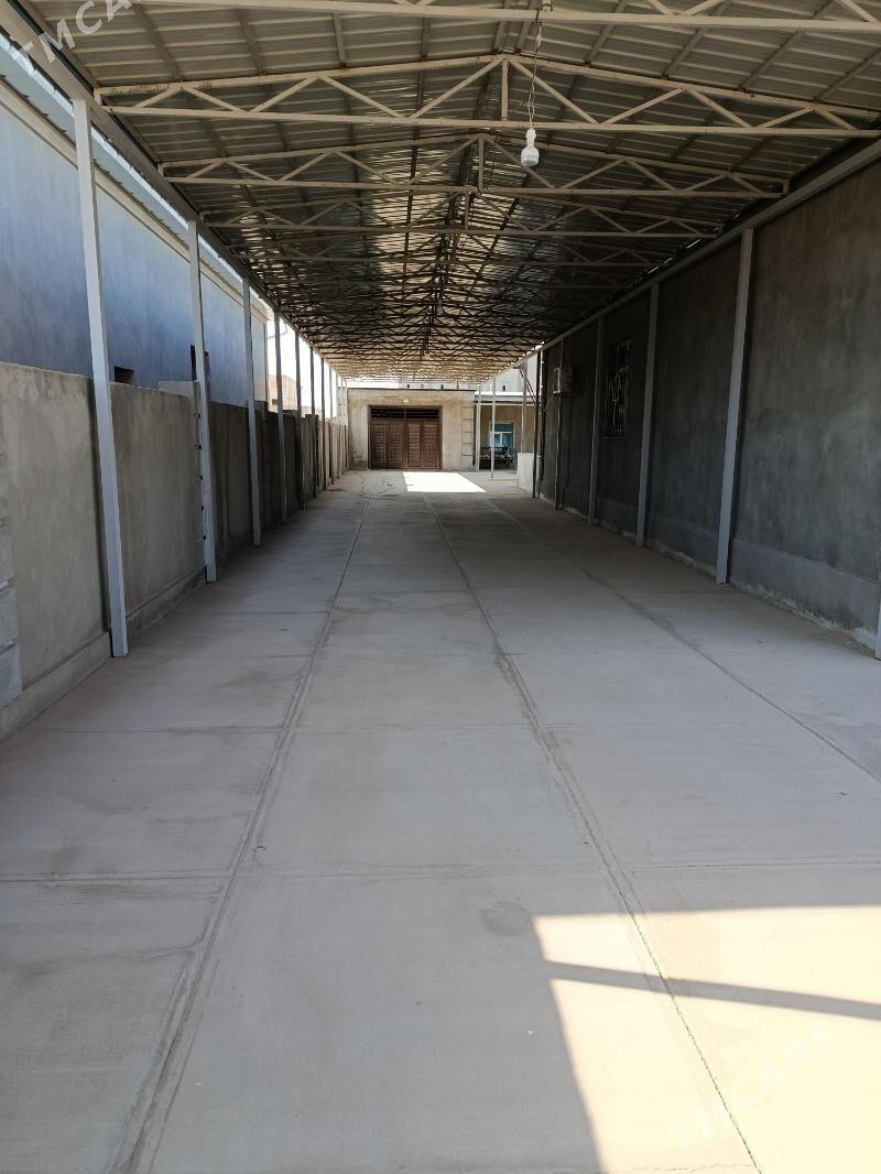 gülüstan howly jay - Дашогуз - img 3