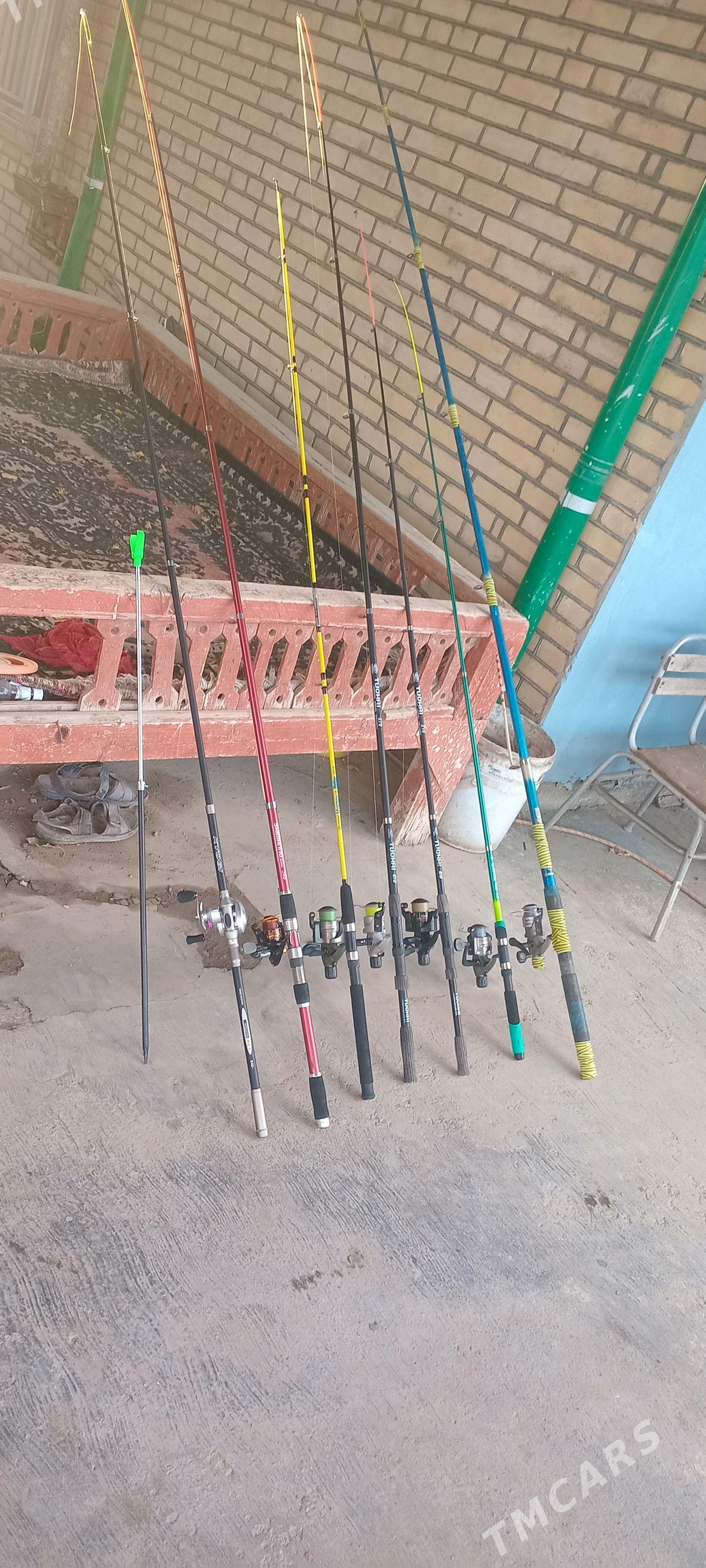 uduckalar - Türkmenabat - img 5