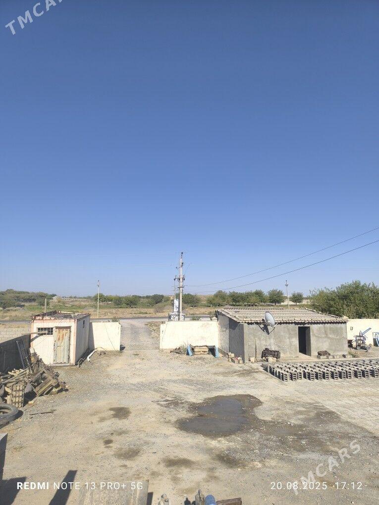 ucastok 24 sotok - Кака - img 7