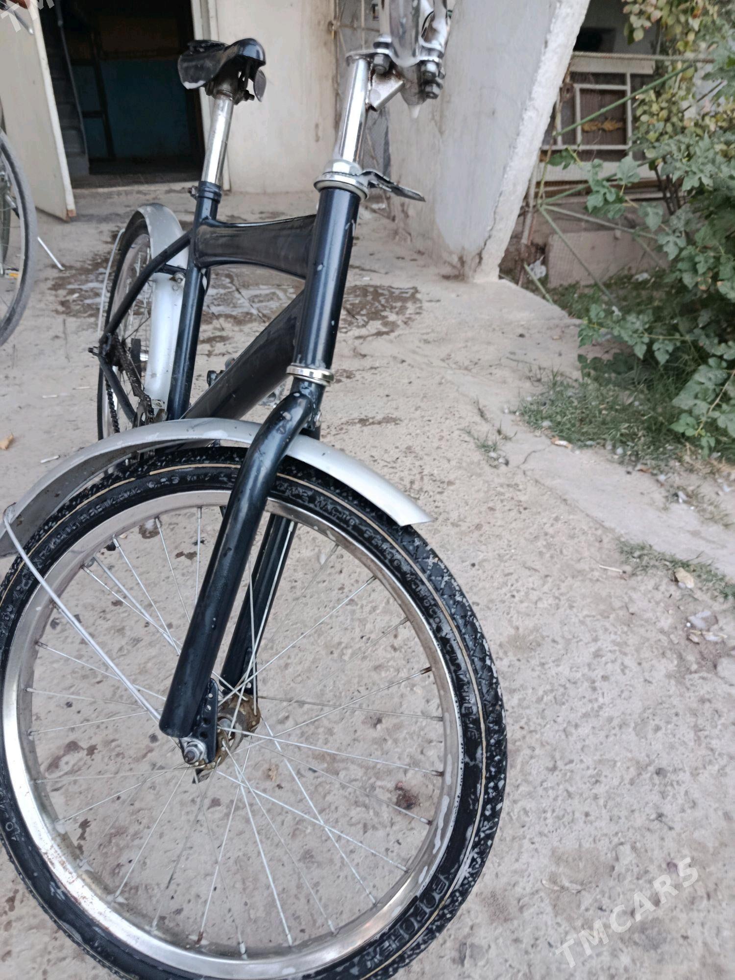 welik - Türkmenabat - img 2