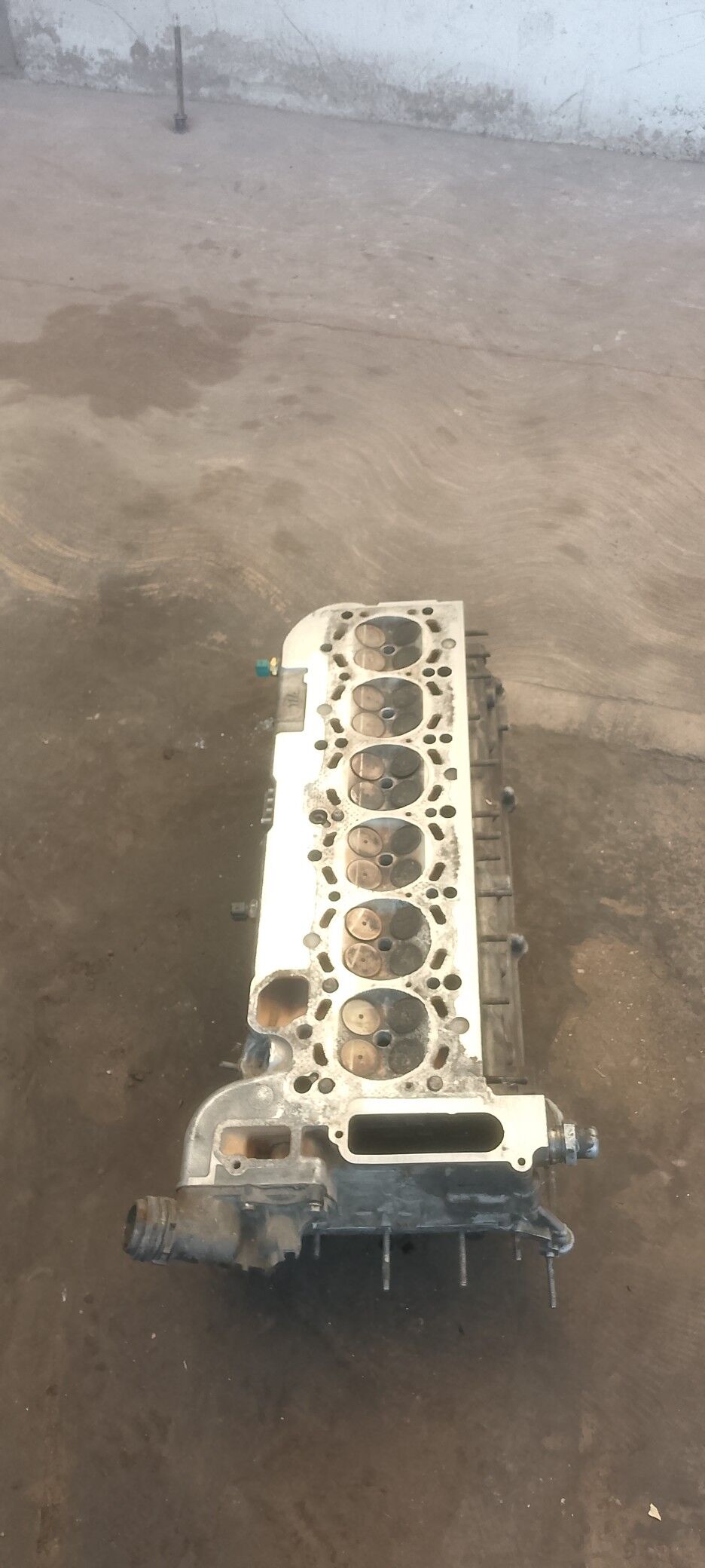 2,5 galowka 2 600 TMT - Mary - img 2