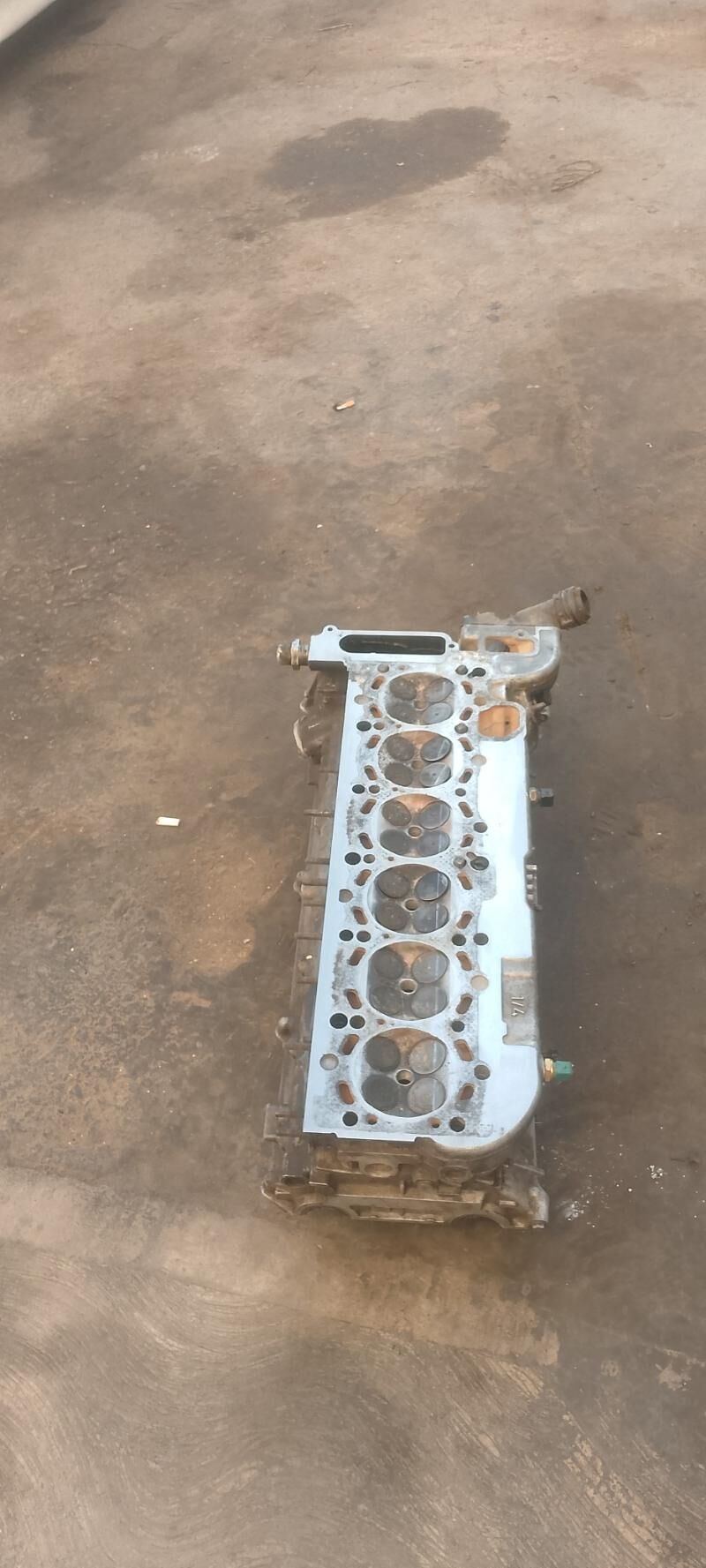 2,5 galowka 2 600 TMT - Mary - img 1