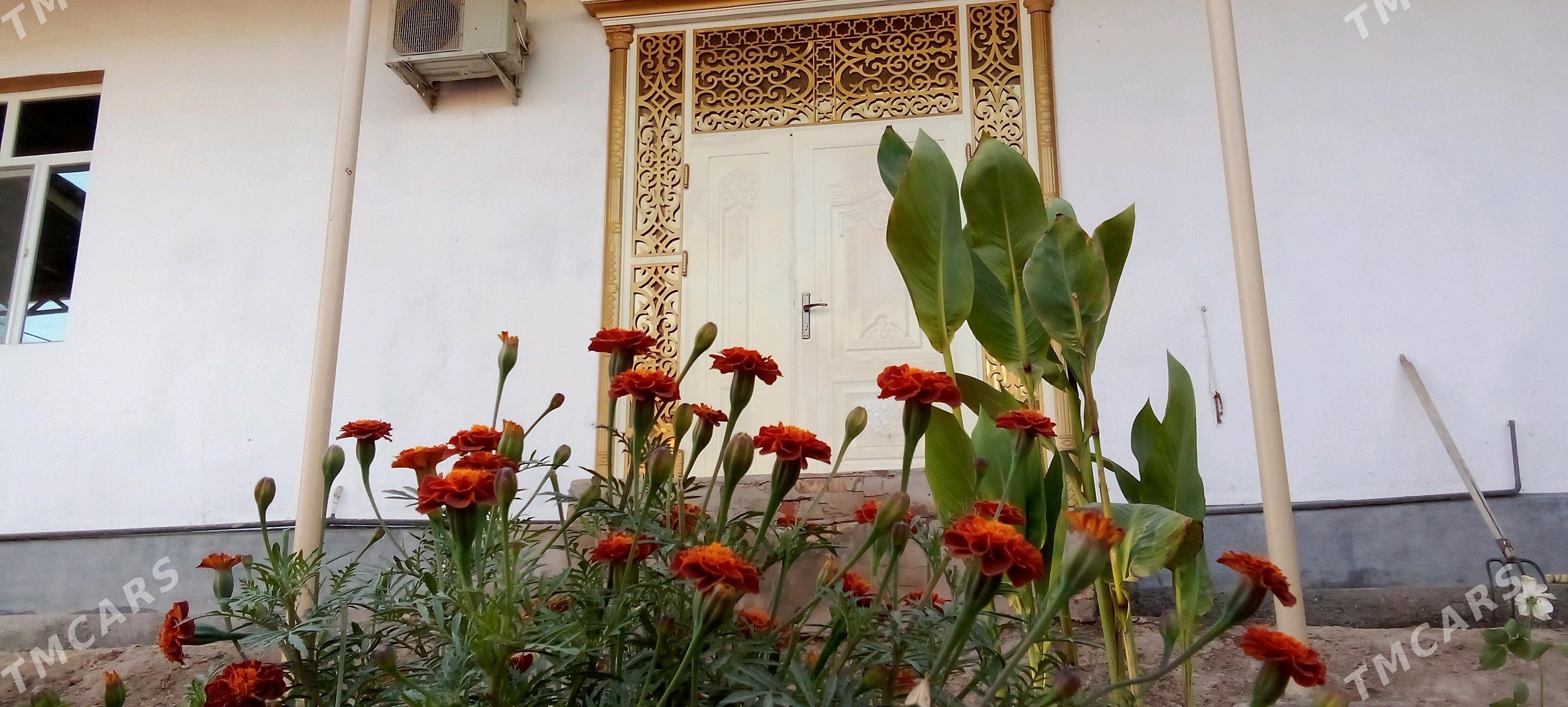 Satlyk jaý - Гурбансолтан Едже - img 1