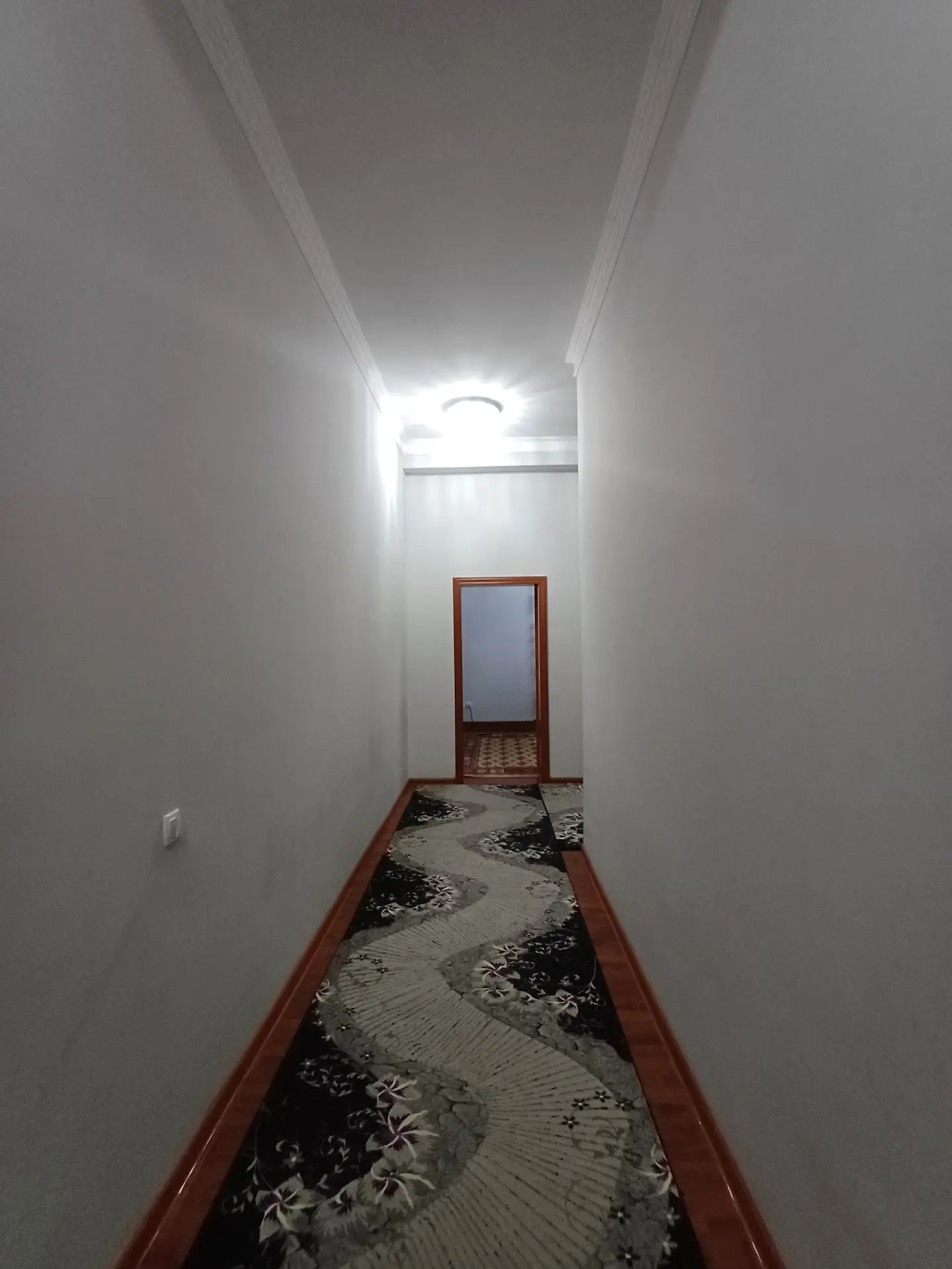 Buzmeyin Gunes kottez 10sotak - Parahat 7 - img 5