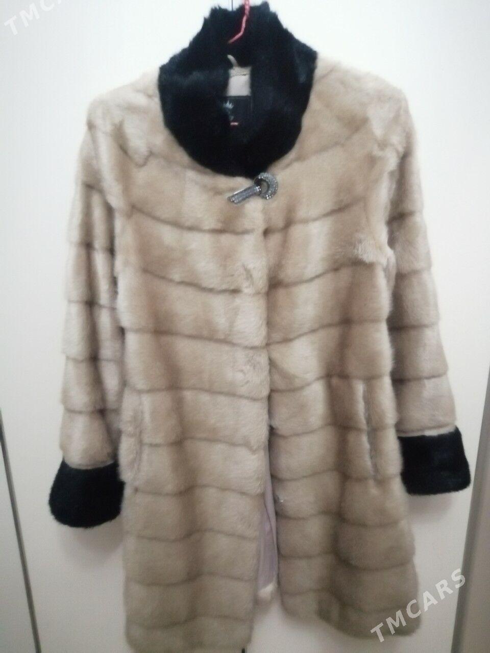 Shuba - Дашогуз - img 2