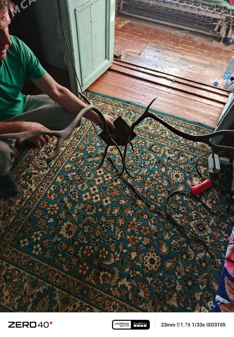 РОГА - Balkanabat - img 2