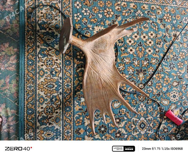 РОГА - Balkanabat - img 4