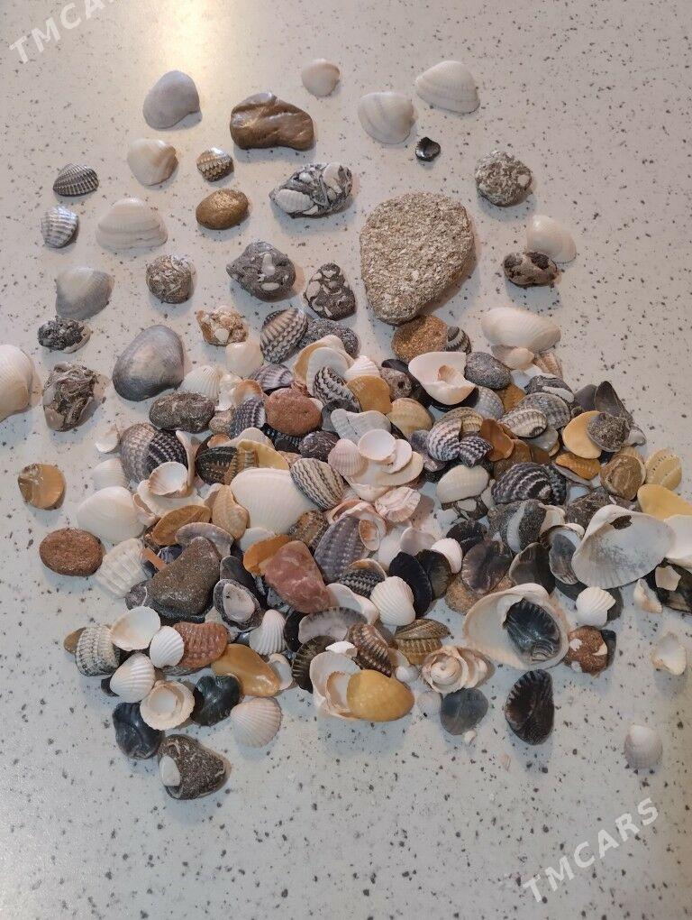 Товары для дома - Aşgabat - img 4