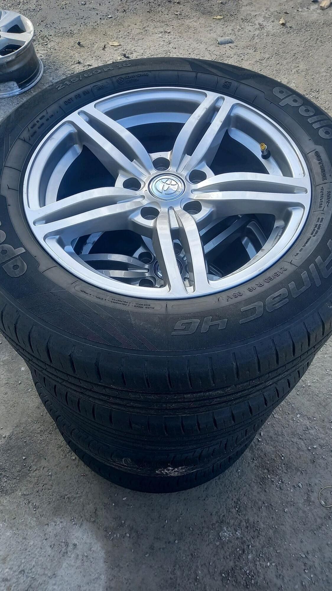 16  Diska pakyryska 2 700 TMT - Bedew - img 2