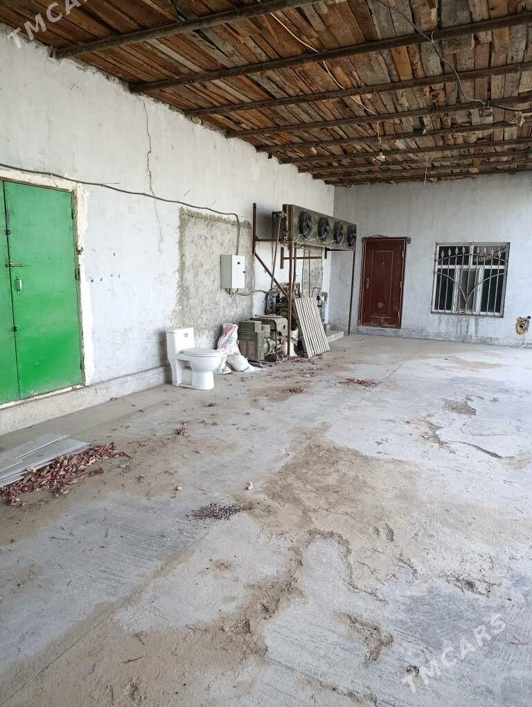 bagyr - Aşgabat - img 4