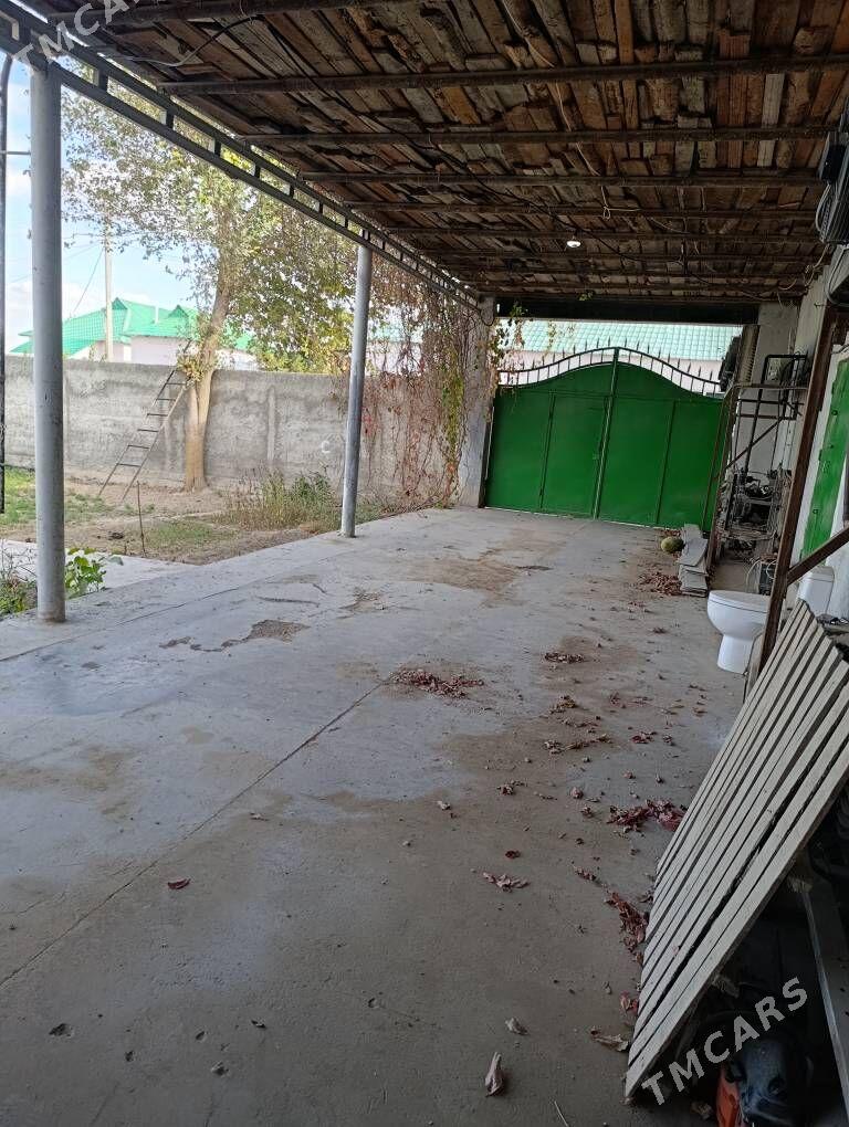 bagyr - Aşgabat - img 6