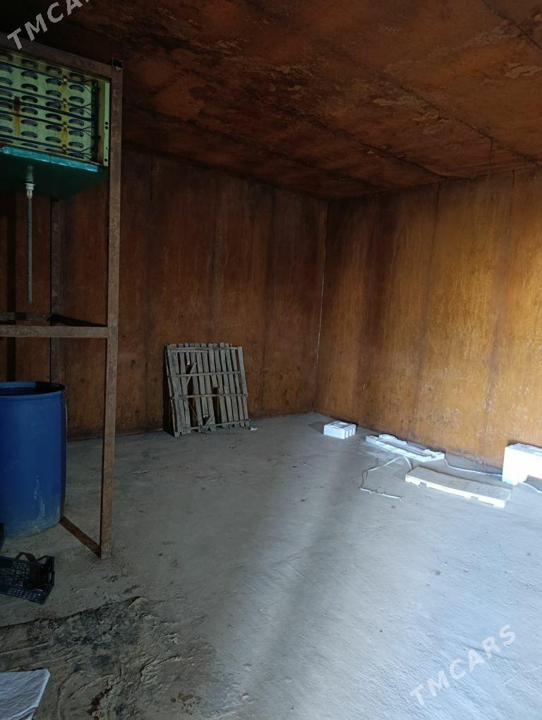 bagyr - Aşgabat - img 2