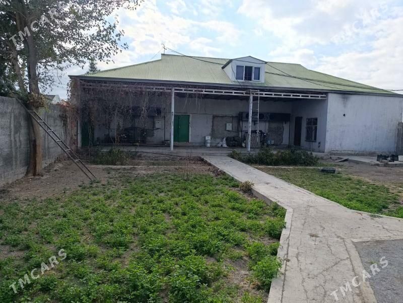 bagyr - Aşgabat - img 1