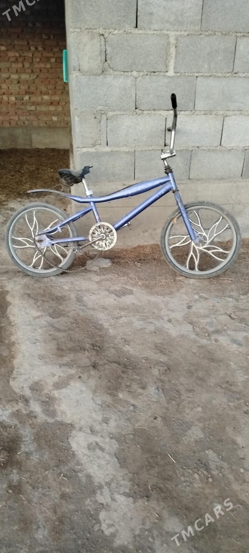 tigit - Bäherden - img 1