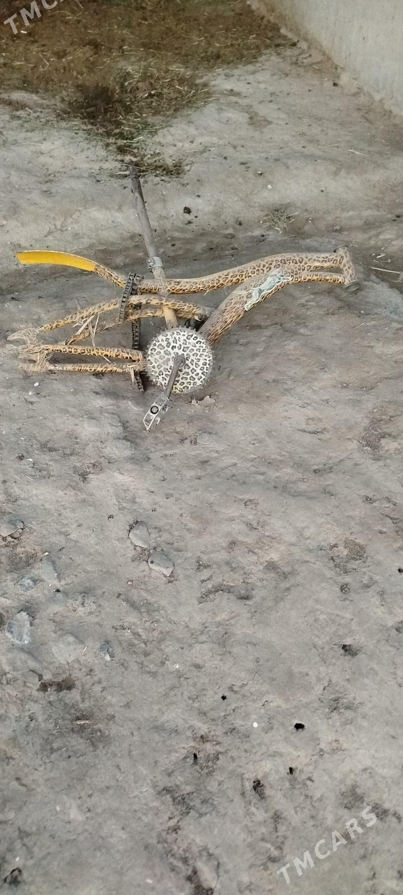 tigit - Bäherden - img 2