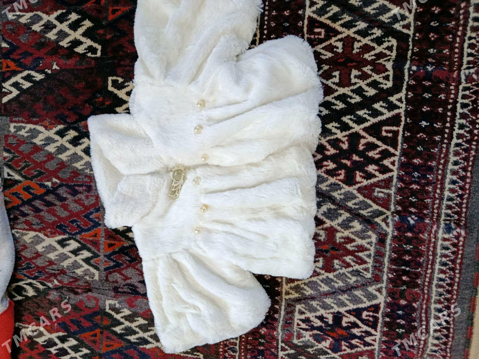 çaga kambinźon - Türkmenbaşy - img 4