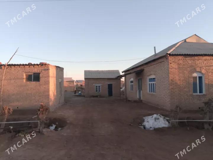 Satlyk jay - Векильбазар - img 10