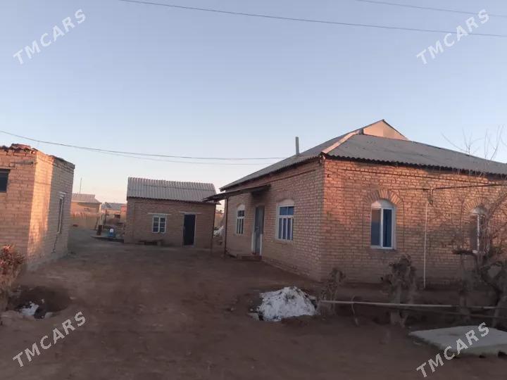 Satlyk jay - Векильбазар - img 2