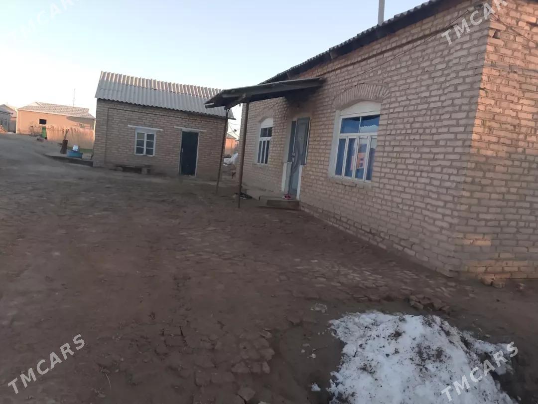 Satlyk jay - Векильбазар - img 7