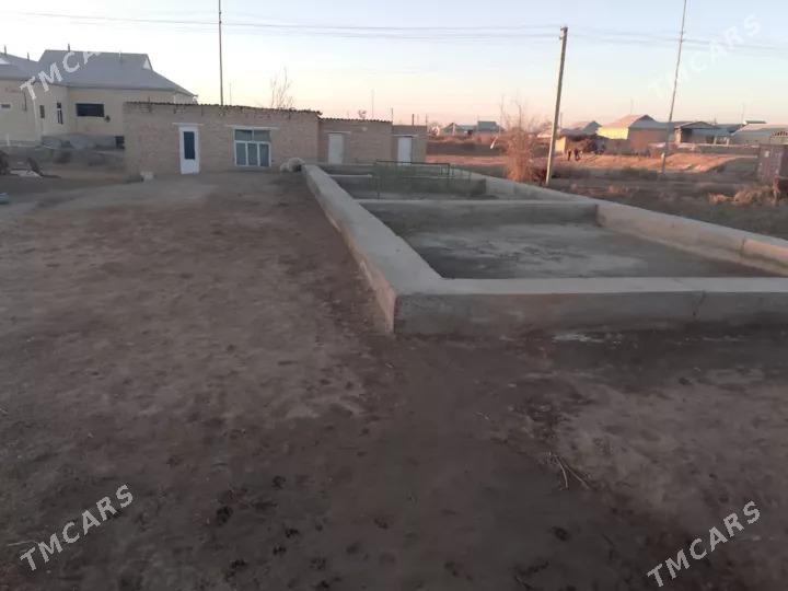 Satlyk jay - Векильбазар - img 6