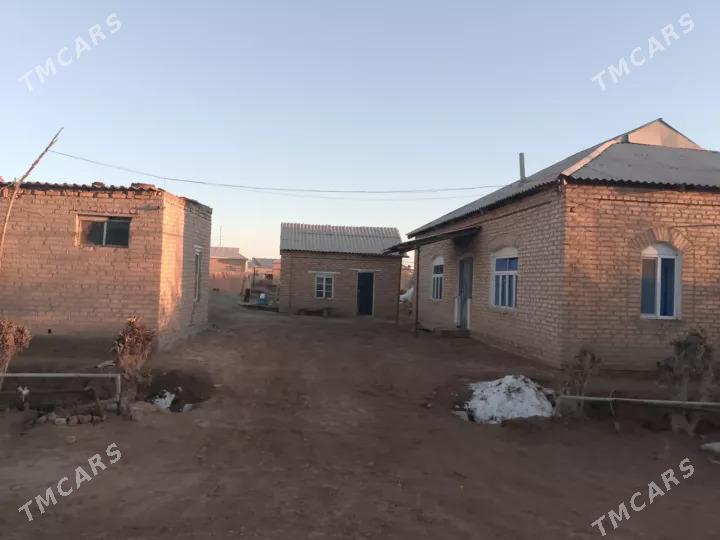 Satlyk jay - Векильбазар - img 5