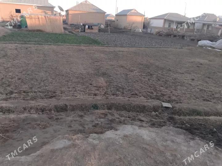 Satlyk jay - Векильбазар - img 4