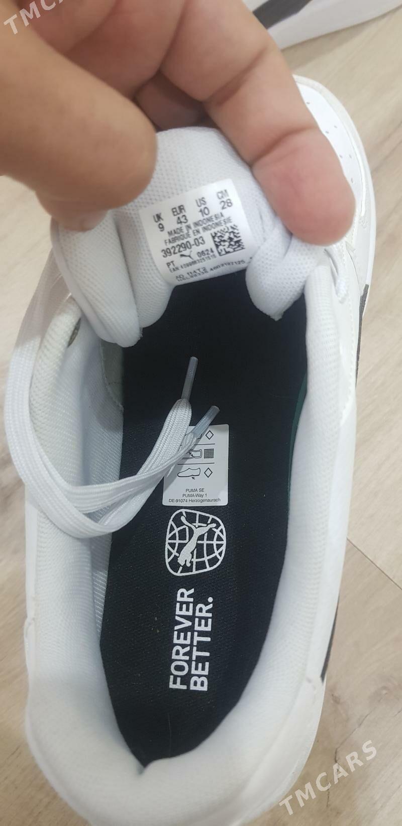 krasowka - Туркменабат - img 3