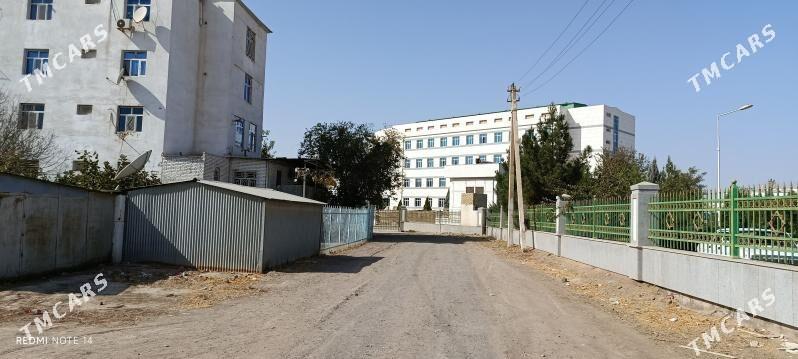 Satlyk jay    - Мары - img 2