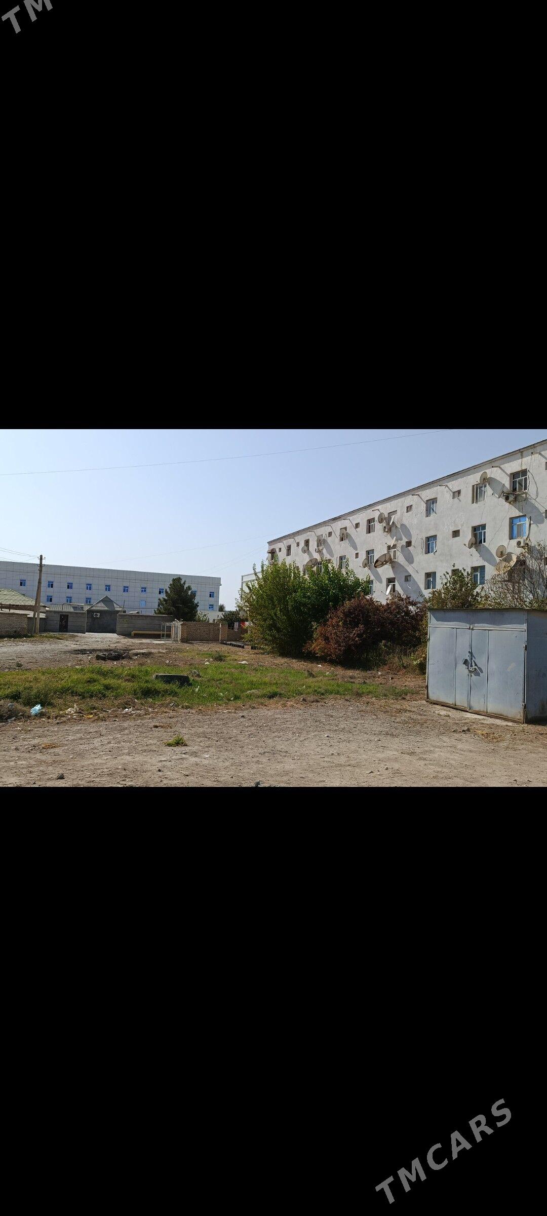 Satlyk jay - Мары - img 1