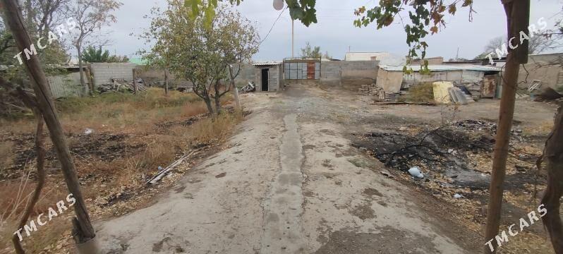 Uçasga,boş mellek - Кака - img 3