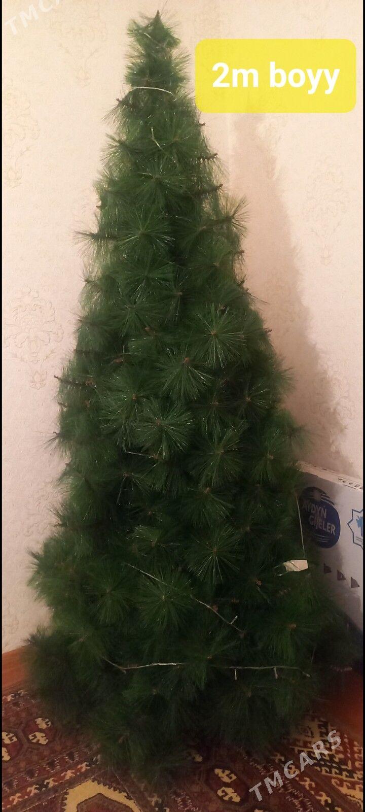 taze yyl Archasy - Mary - img 2