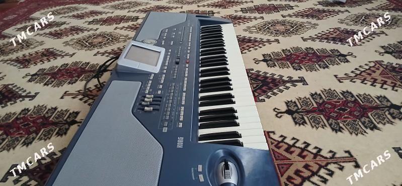 Korg Pa800 - Теджен - img 5