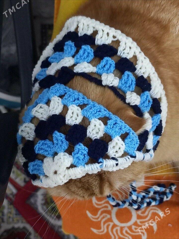 шапочка-косынка для кошек - 2 mkr - img 2