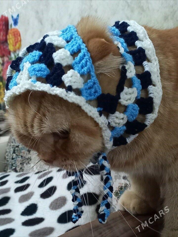шапочка-косынка для кошек - 2 mkr - img 7