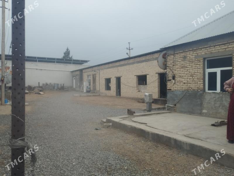 Mellek ýer - Änew - img 1