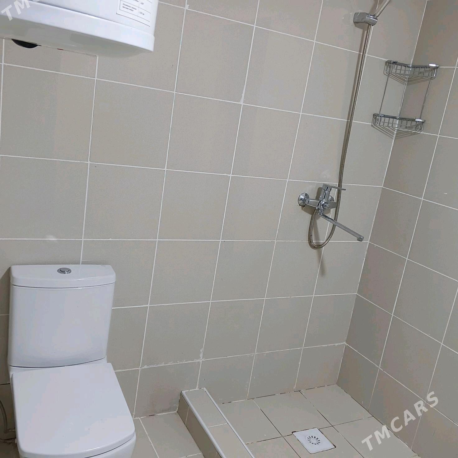 Gami Saglyk daca - Ak bugdaý etraby - img 2