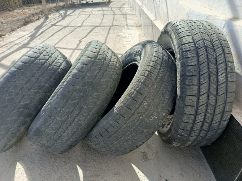 265.70.16.текер.teker. 1 600 TMT - Görogly (Tagta) - img 3