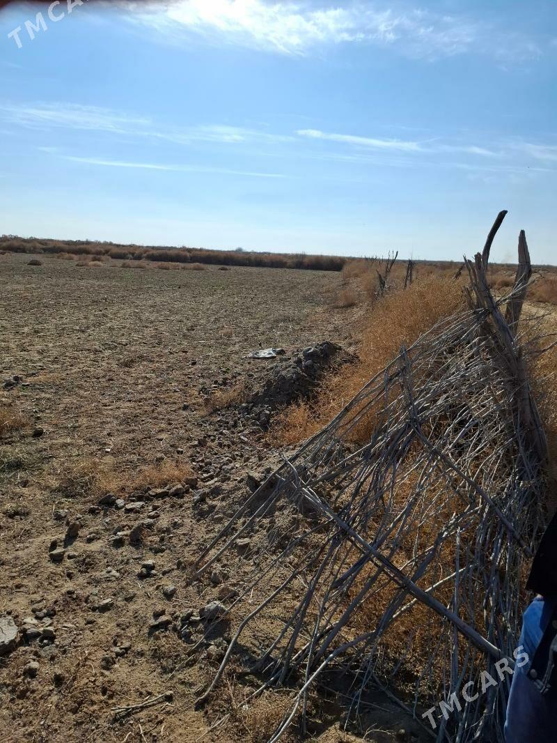 satlyk mellek yer - Mary - img 1