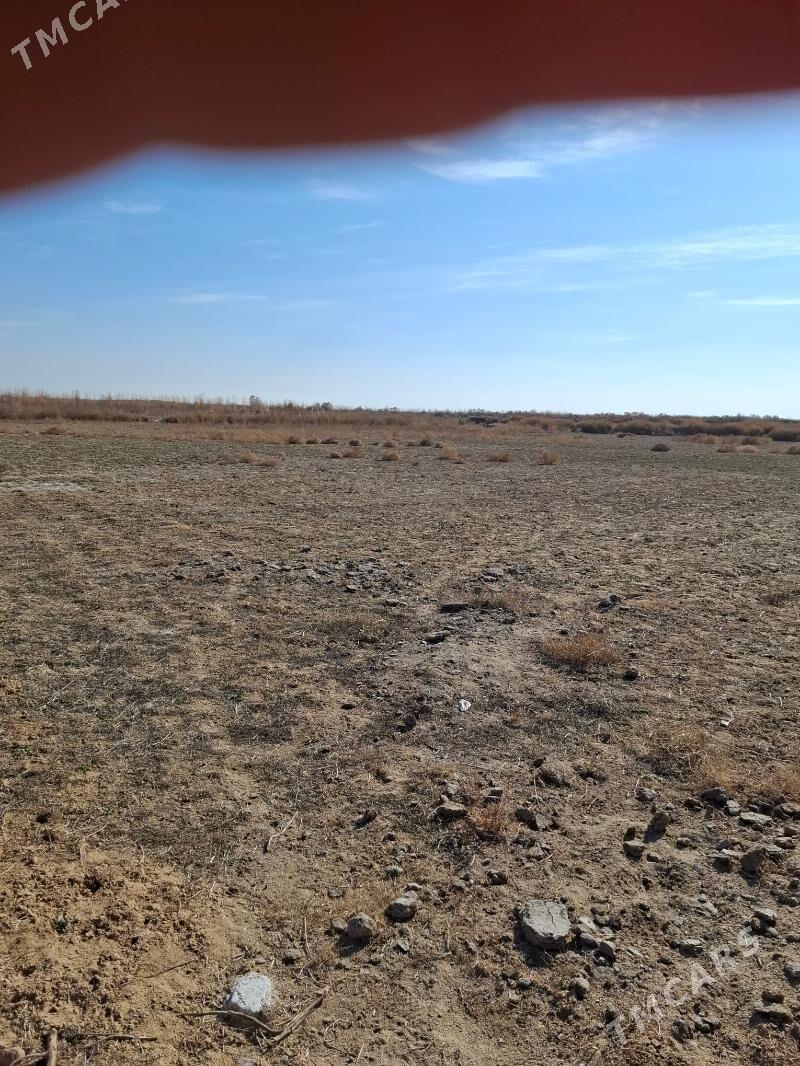 satlyk mellek yer - Mary - img 3